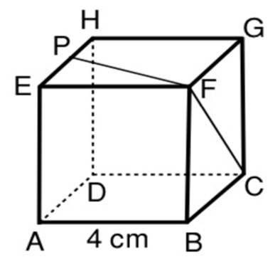 Diketahui kubus abcd efgh dengan panjang rusuk 4 cm