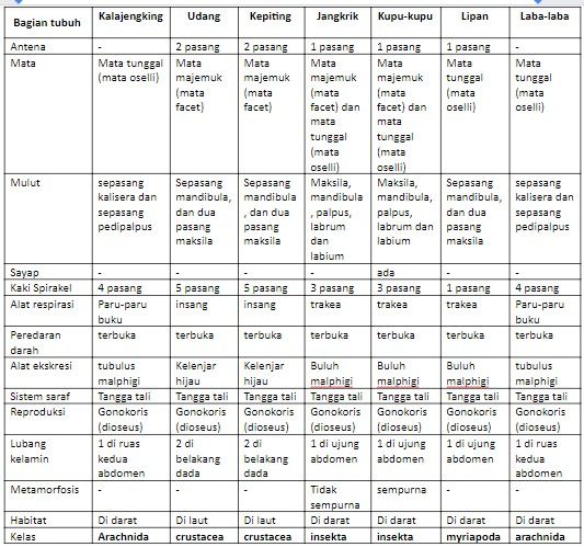 Tabel hasil pengamatan ciri-ciri morfologi hewan A...
