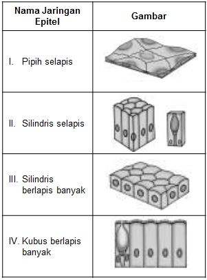 Perhatikan Tabel Di Bawah Ini! Pasangan Yang...