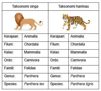 Nama ilmiah harimau