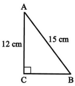 Perhatikan gambar! Panjang sisi BC adalah.