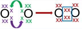 Di antara molekul-molekul dibawah ini, yang mempunyai ikatan kovalen rangkap dua adalah . . .