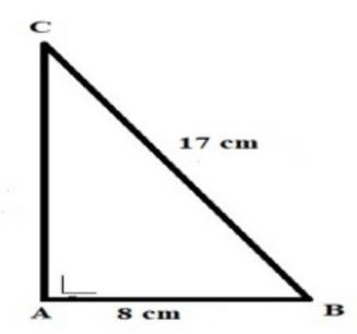 Perhatikan gambar segitiga ABC di bawah, maka luas...