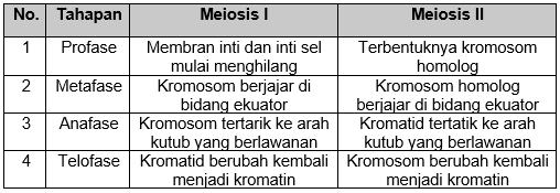 Perbedaan Meiosis Dan Mitosis Talitha Hafizni Mutuali 4266