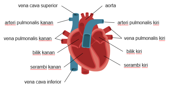 Belajar Mengenal Fungsi Bagian Bagian Sajian Pada Mic