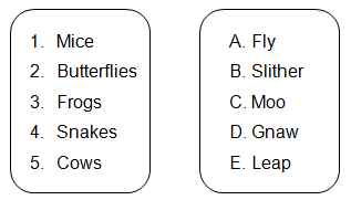 What do animals do? Match the animals with their b...