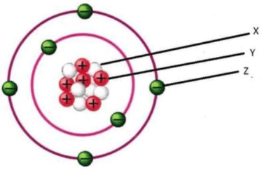Elektron dasar dan neutron adalah atom berturut-turut proton atas tersebut partikel penyusun terdiri partikel dasar muatan listrik Kumpulan Soal