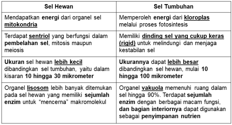 Perbedaan Antara Sel Hewan Dan Sel Tumbuhan Adalah