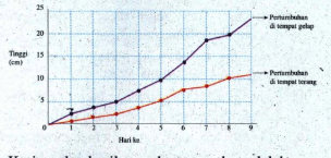 Berikut Ini Grafik Pertumbuhan Kecambah Kacang Hij