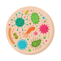 Bacteria dan Archaebacteria ⚡️
