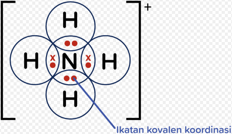 Ikatan Kovalen Koordinasi Terdapat Pada