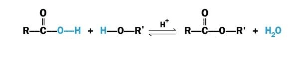 Реакция пропена с хлором. Карбоновая кислота p2o5. Муравьиная кислота p2o5. Пентандиовая кислота p2o5. Амид фенилуксусной кислоты p2o5.