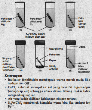 Seorang Siswa Melakukan Percobaan Untuk Menyelidik...