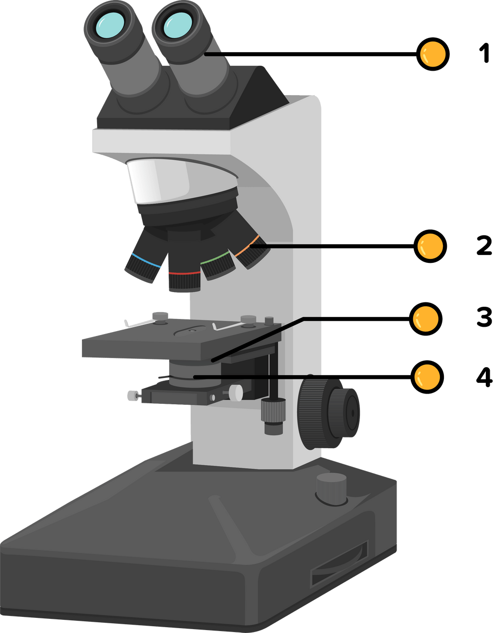 Части микроскопа выполняют функции предметный столик. Предметный столик микроскопа Микмед 6. Предметный столик микроскопа Назначение. Микроскоп на столе. Координатный столик для микроскопа.