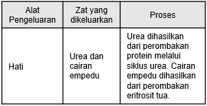 Zat Berikut Yang Dihasilkan Oleh Hati Adalah