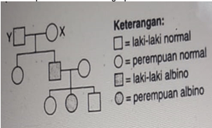 Cermati Peta Silsilah Keluarga Penderita Albino Be