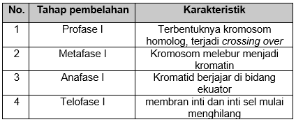 Perhatikan Tabel Berikut Ini! Tahap Pembelah...