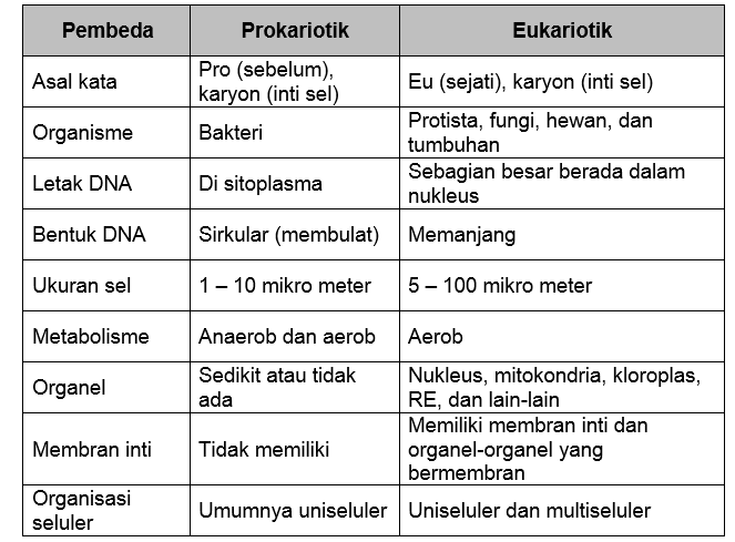 Perbedaan Sel Prokariotik Dan Eukariotik Gambar Dan Tabel Biologi Sel Porn Sex Picture 4541