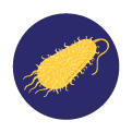 Konsep Kilat Bacteria dan Archaea (NEW!)