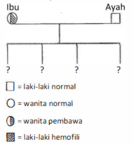 Perhatikan Peta Silsilah Berikut! Berdasarka...