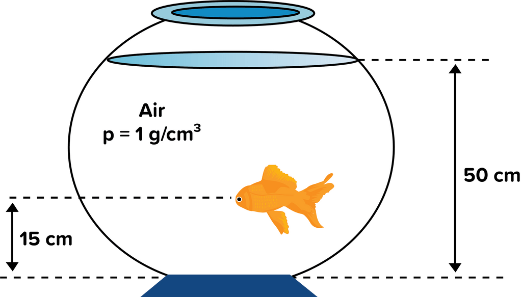 Seekor ikan berenang di akuarium ikan tersebut berada 50 cm dari permukaan akuarium