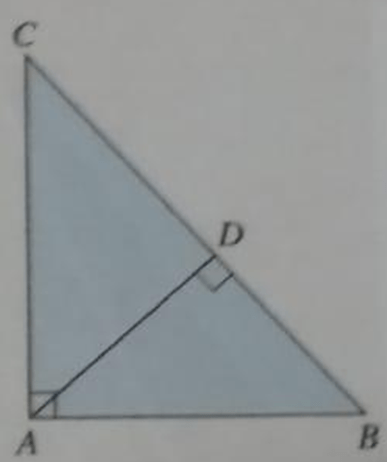 Pada gambar disamping, diketahui panjang B D = 6 c...