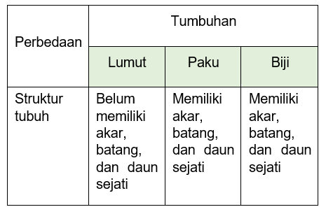 Jelaskan Perbedaan Secara Umum Antara Tumbuhan Lum