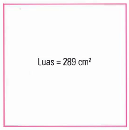 Sebuah persegi luasnya 289 cm2 panjang sisinya adalah