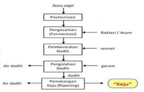 Perhatikan Bagan Proses Pembuatan Keju Di Bawah In
