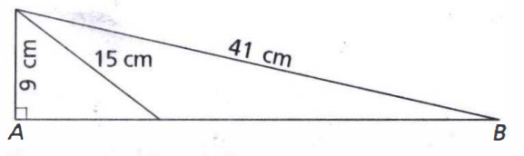 Perhatikan gambar berikut. Panjang BD adalah...