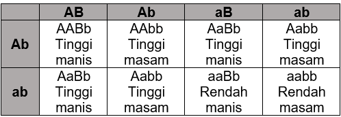 Perhatikan Bagan Hasil Persilangan Berikut!