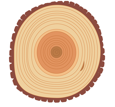 Perhatikan Gambar Berikut Ini Pernyataan Yang