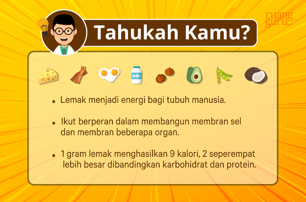 Berikut Ini Merupakan Fungsi Makromolekul. 1) S...