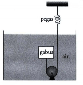 Perhatikan gambar di bawah! Gabus berbentuk ...