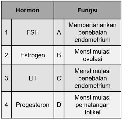 Hormon bagi fungsi progesteron adalah dan estrogen perempuan 6 Fungsi