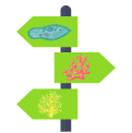 Protista Mirip Hewan (Protozoa) ⚡️