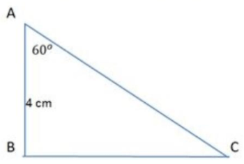 Panjang Sisi Ac Adalah Studi Indonesia