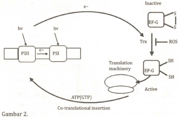 Xotinim bilan uy vazifasi fotosurati