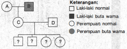 Perhatikan Peta Silsilah Berikut! Berdasarka...