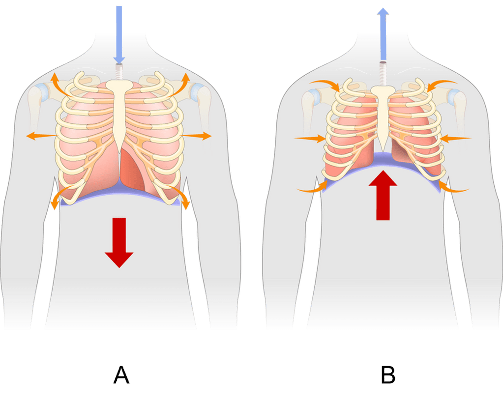 Perhatikan Gambar Di Bawah Ini Gambar Di At 2647