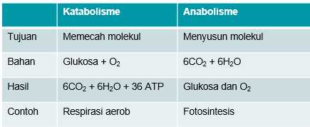 Adalah persamaan anabolisme reaksi kimia Pengertian Anabolisme