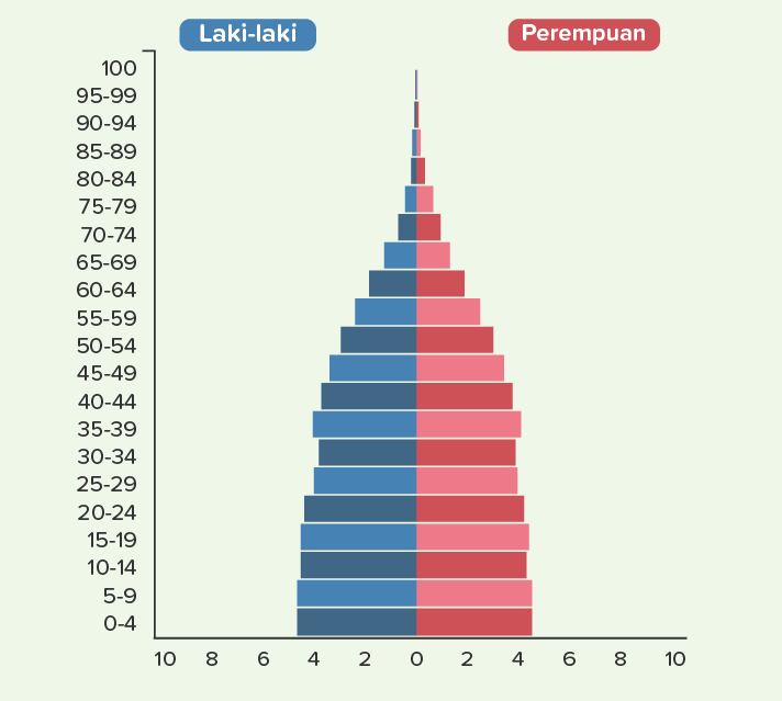 Sebutkan Ciri-ciri Piramida Penduduk Di Negara Ber