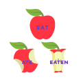 Regular and Irregular Verb