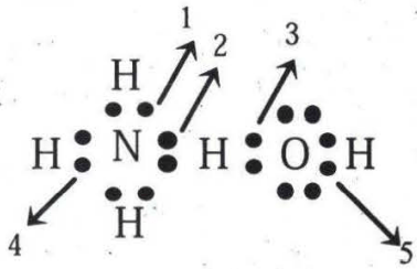 Amonium hidroksida