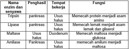 Perhatikan Tabel Di Bawah Ini Bagian W X Y