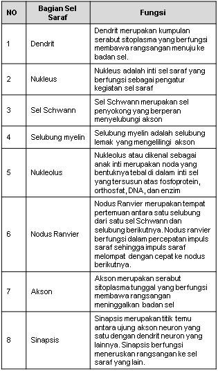 Perhatikan Gambar Dibawah Ini Berdasarkan G 4264