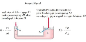 Perhatikan Gambar Berikut Ini! Berdasarkan Gambar ...