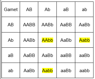 Сколько типов гамет образуется с генотипом aabb. AABB AABB. AABB сколько гамет. AABB биология что означает. Решение задачи когда p:AABB*AABB.