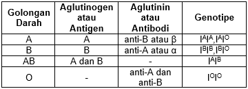 Rhesus Negatif Menikah Dengan Rhesus Positif – Studyhelp